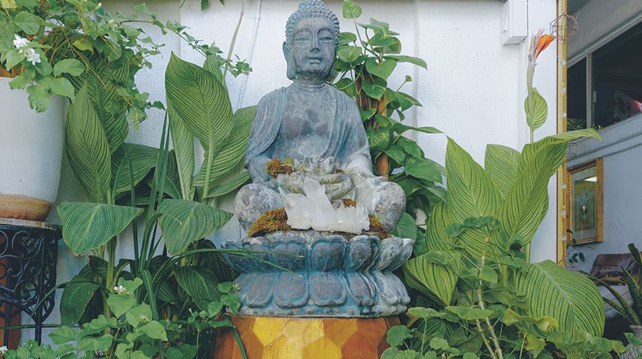 A Buddha statue surrounded by lush greenery and a white wall, creating a serene atmosphere.